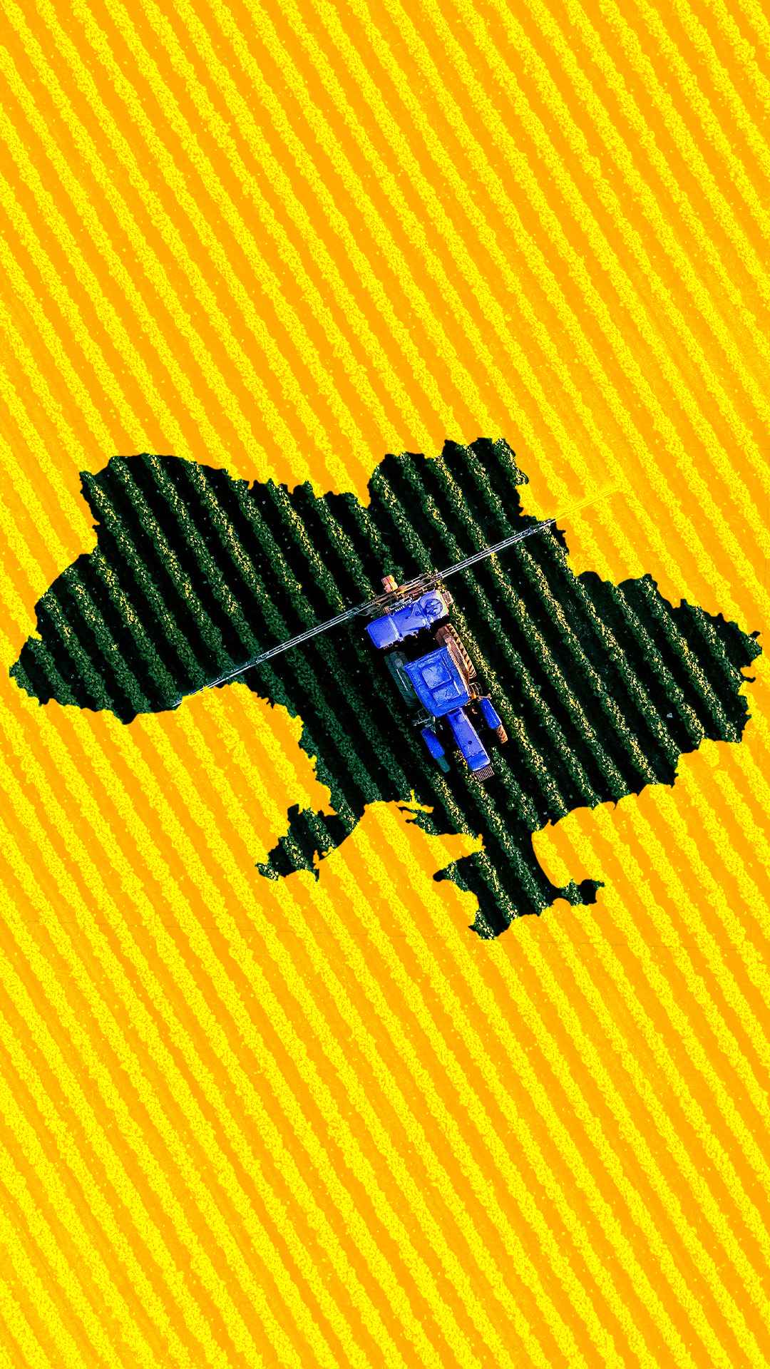 Аграрна еволюція України image