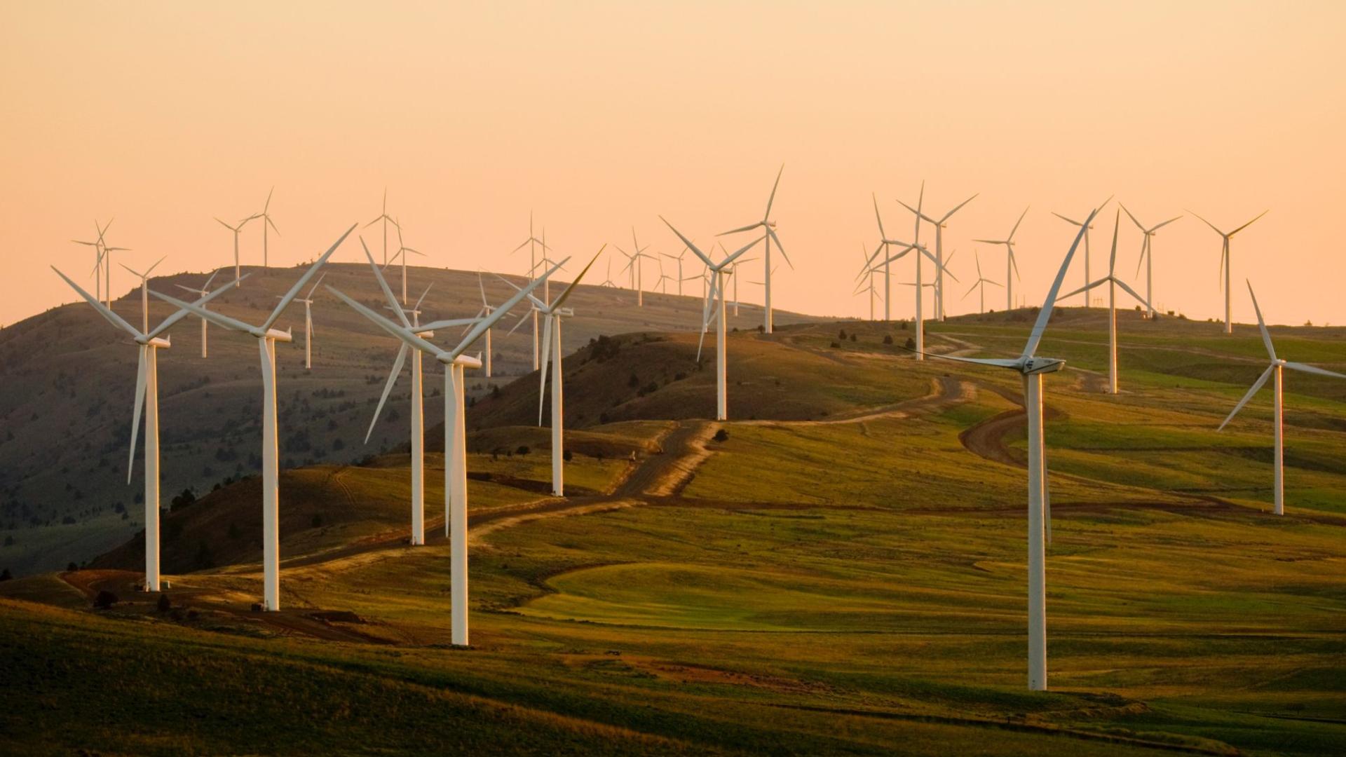 Article image: Energy: Global Trends 2025